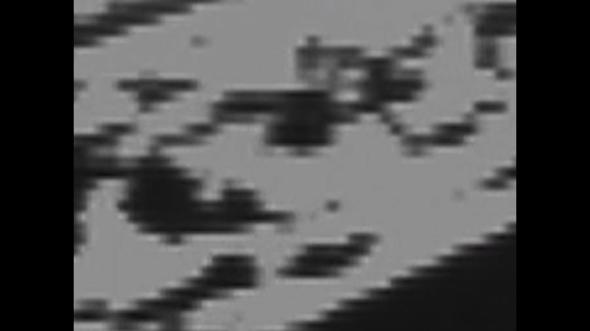 Works in Pixelvision