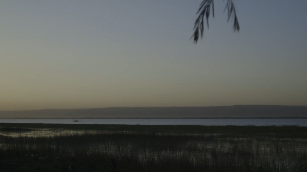 PVH x Water Conservation Efforts | Editor