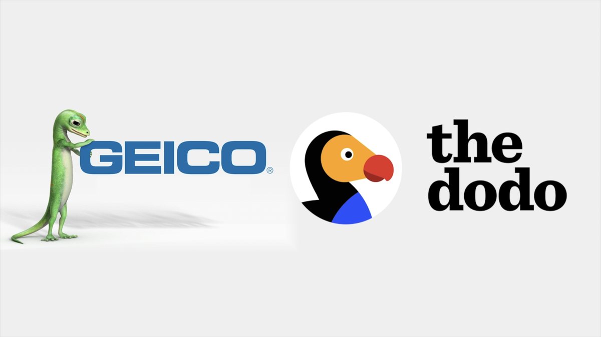 GEICO x The Dodo | Editor